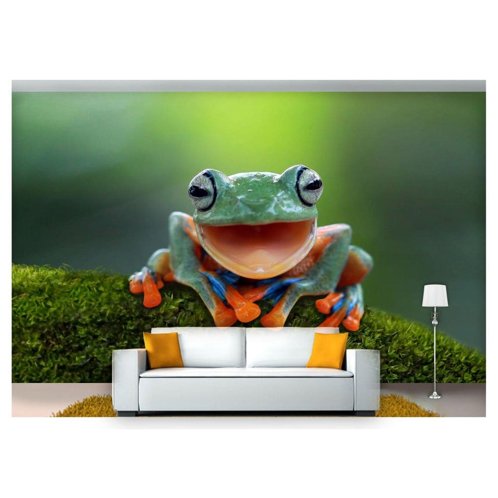 Papel De Parede Animais Sapo Verde E Laranja Anm243