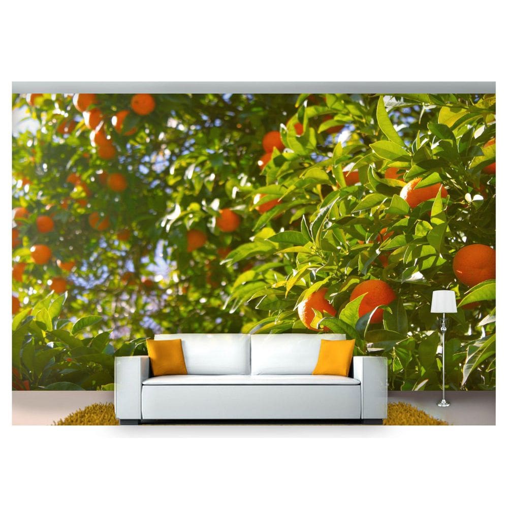 Papel De Parede Frutas Cítricas Pé De Laranja  Al222