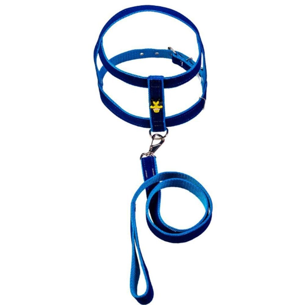 Peitoral Camurça Azul 25mm - Cães Pequenos e Médios