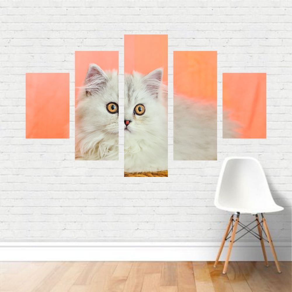 Quadro em tela Canvas  Gato Persa Branco Mascote  110x65