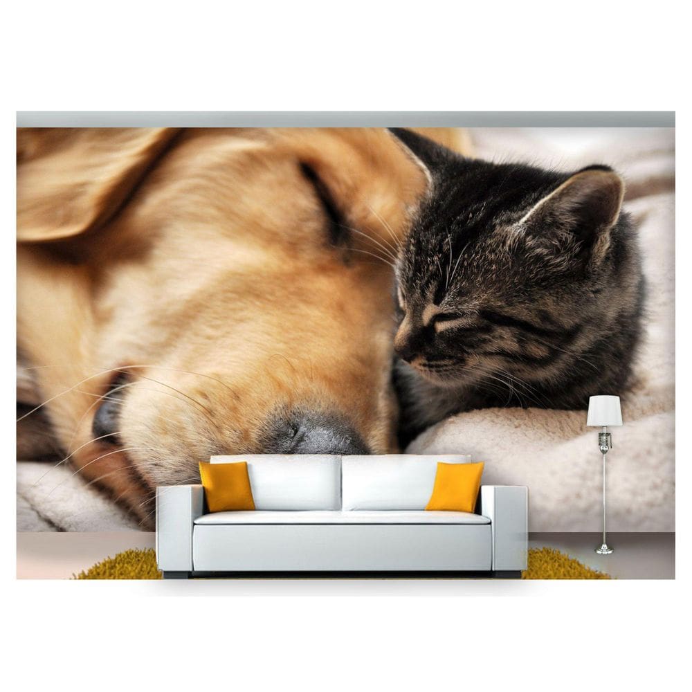 Papel De Parede Animais Cão Gato Dormindo 3D Anm154