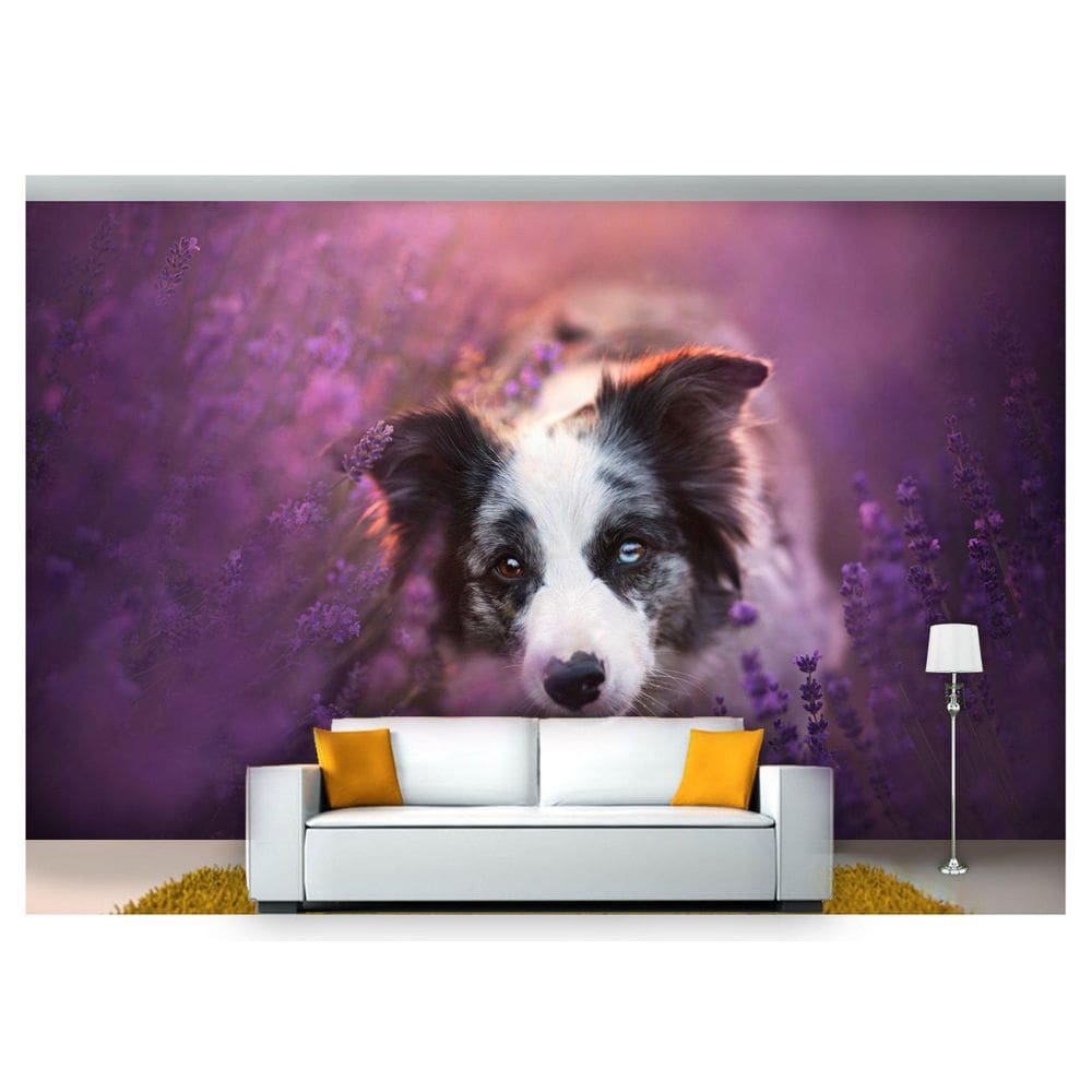Papel De Parede Animais Border Collie Flores  Anm168