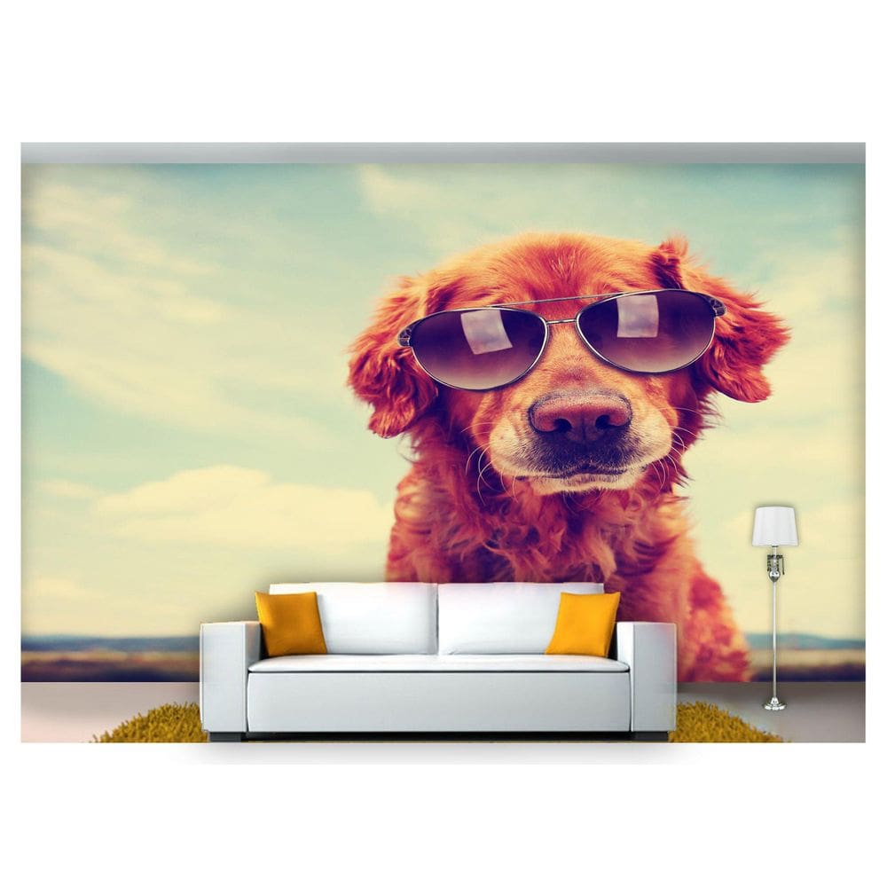 Papel De Parede Cachorro Óculos Férias Praia  Anm213