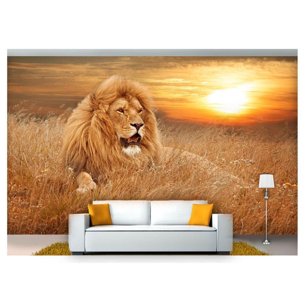 Papel De Parede Animais Leão Deitado Paisagem  Anm230