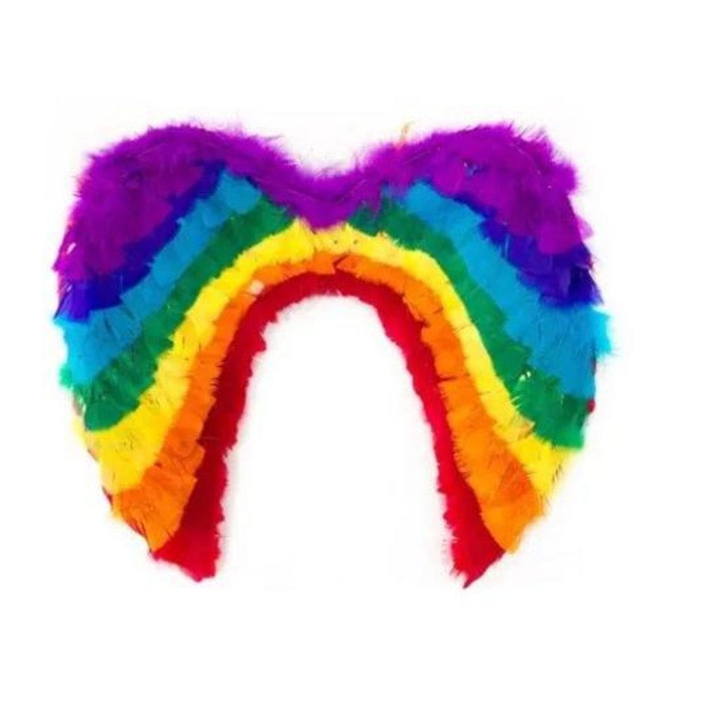 Asa De Anjo Colorida Arco Iris