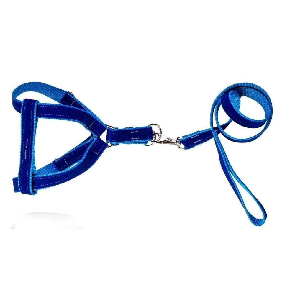 Coleira Peitoral Americano De Camurça Azul - N.4