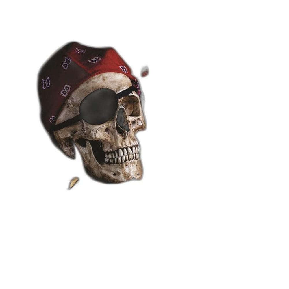 Fundo Fotográfico Em Tecido Pirata 2,20X1,50