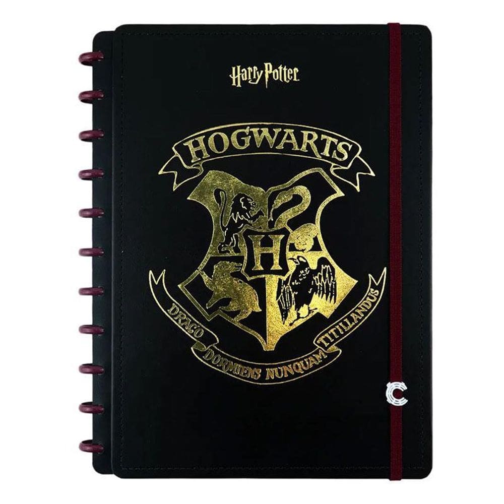 Caderno Inteligente Harry Potter Grande 80 Folhas 7573824 Preto - CI