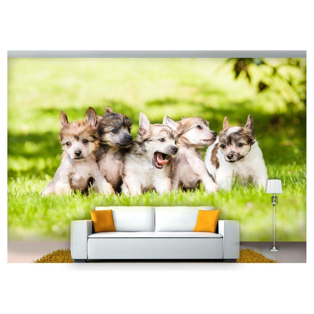 Papel De Parede Animais Filhtes Grama 3D Anm171