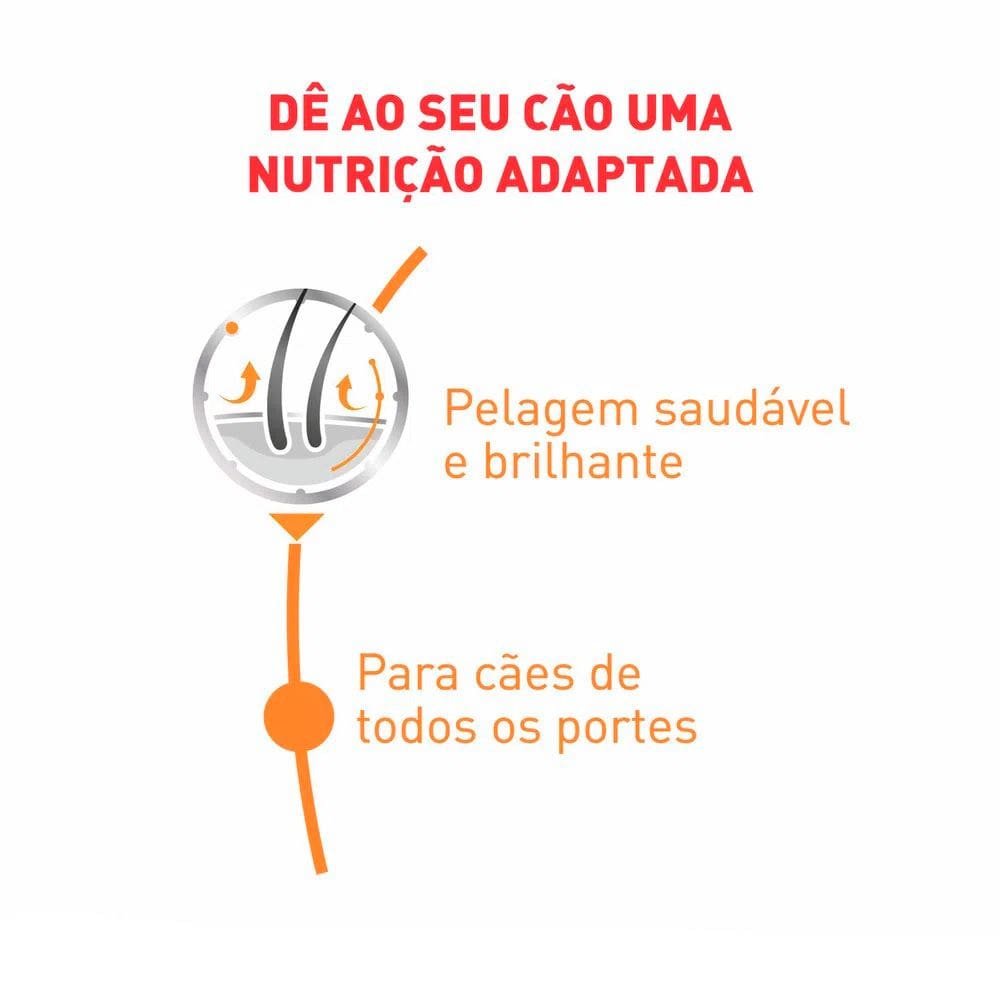 Ração Cães Royal Canin Úmida Coat Beaut Sachê 85g