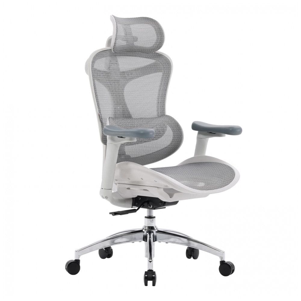 Cadeira Ergonômica SIHOO Doro C300 com Apoios de Braço 3D Ultra Suaves, Suporte Lombar Dinâmico, Encosto Ajustável, Giratória para