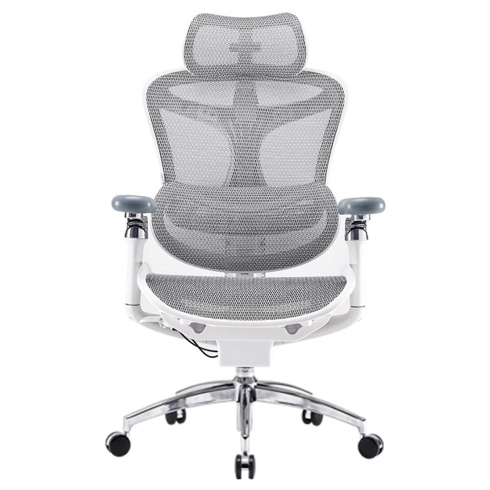 Cadeira Ergonômica de Escritório SIHOO Doro C300 Pro Cinza, Braços 6D Ultra Macios, Apoio Lombar Adaptativo, Assento Ajustável