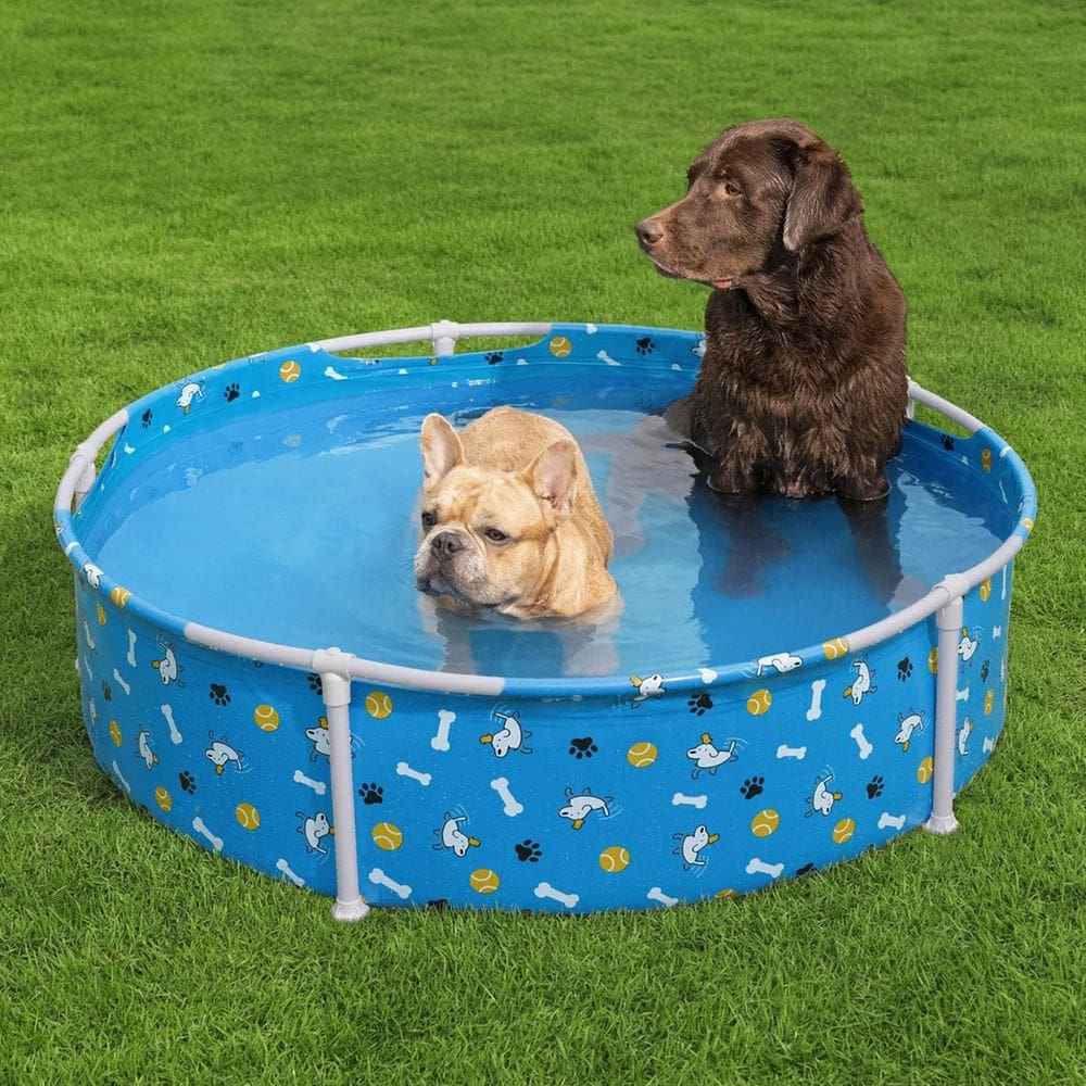 Piscina Para Cachorro Fun Pet 292l 120x30cm - Bestway