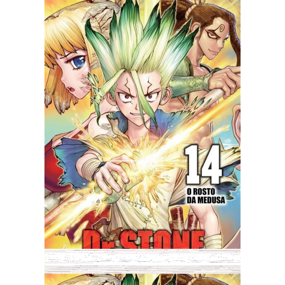 Dr. Stone Vol. 14