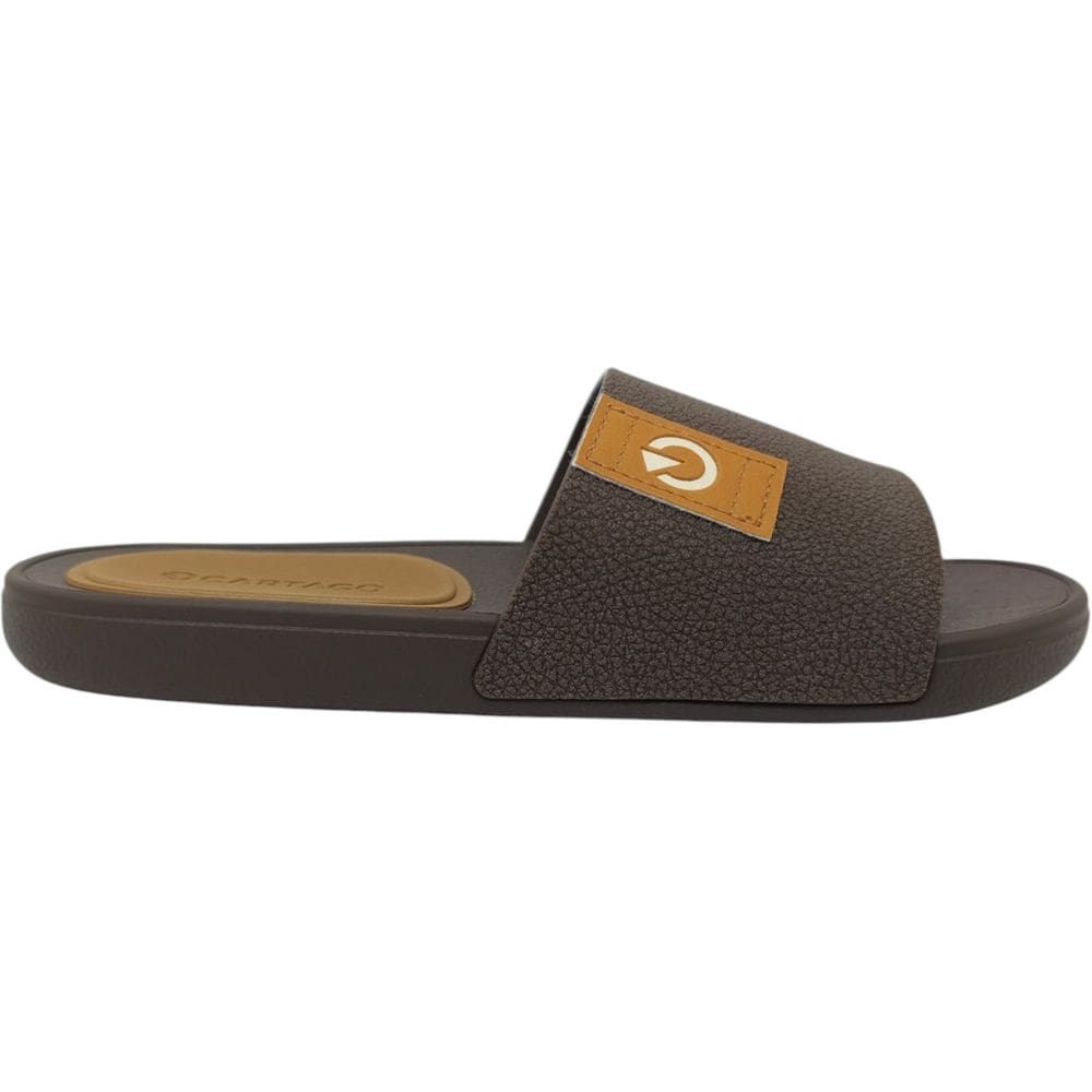 Chinelo Gaspea Masculino Casual Dia a Dia Passeio Praia Verão Conforto Dakar VI Cartago 12626