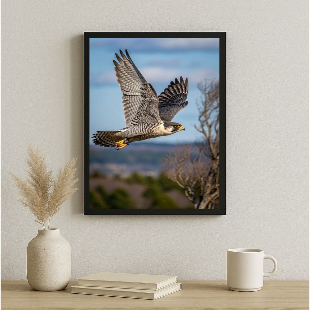 Quadro Decorativo Falcão Peregrino - Em Voo 24x18cm