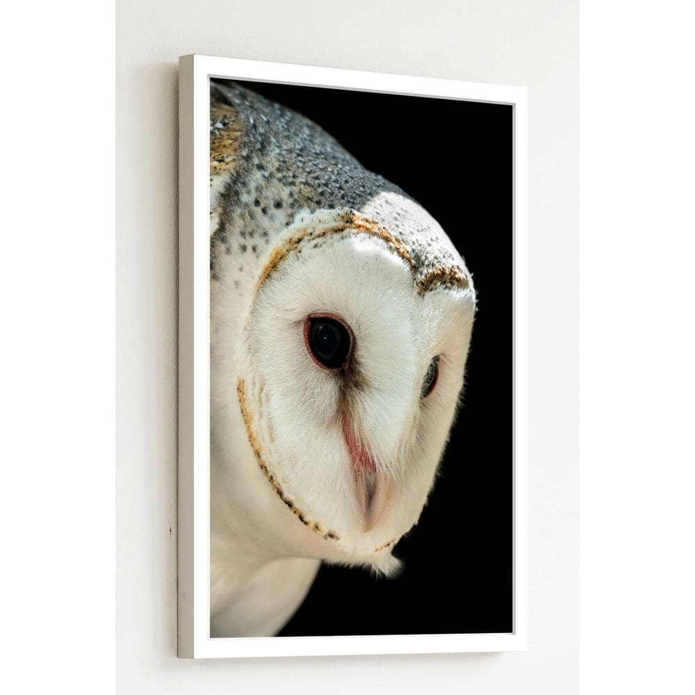 Quadro Decorativo Coruja Perfil Fundo Preto  - 70x50cm