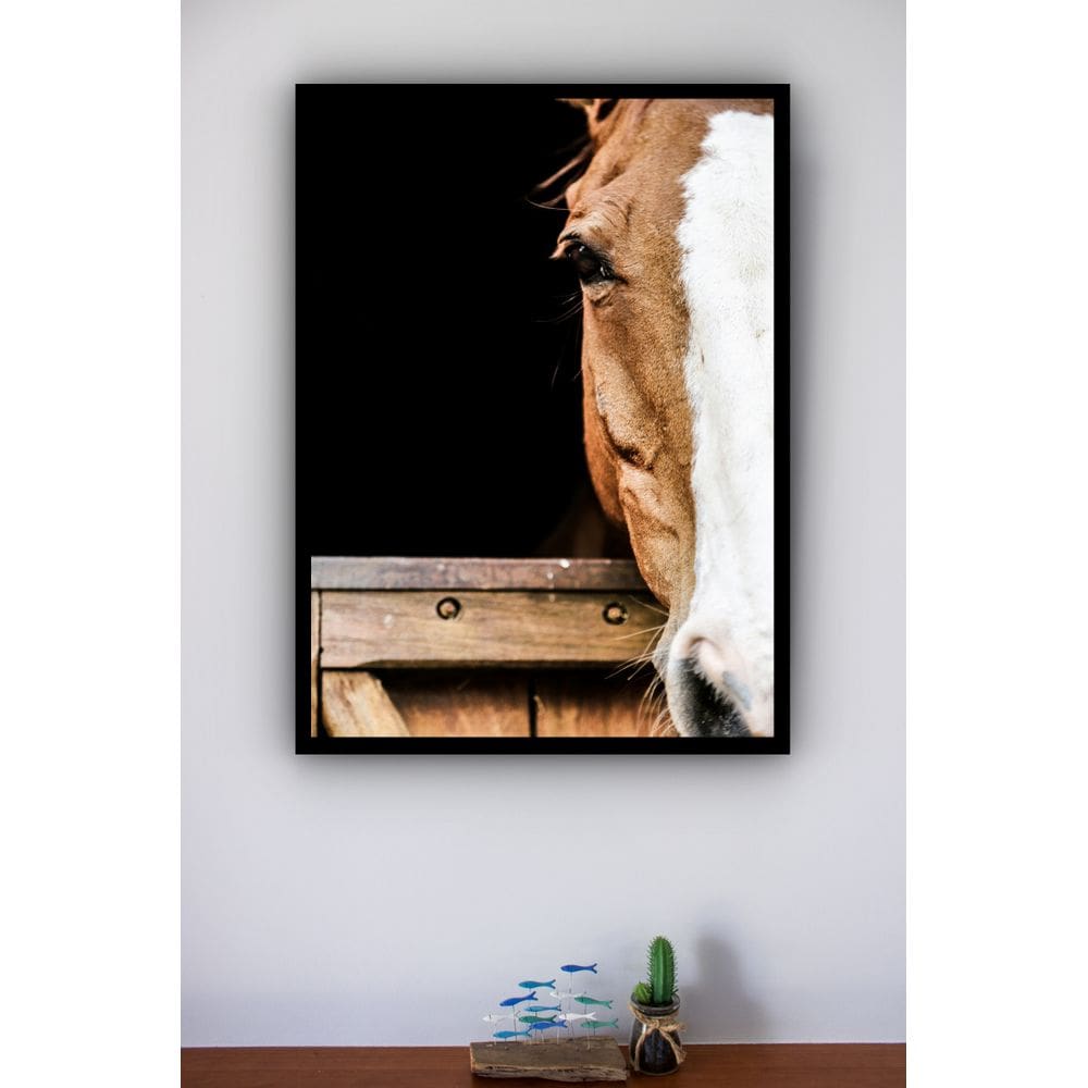 Quadro Decorativo Foto Face Cavalo Marrom  - 70x50cm