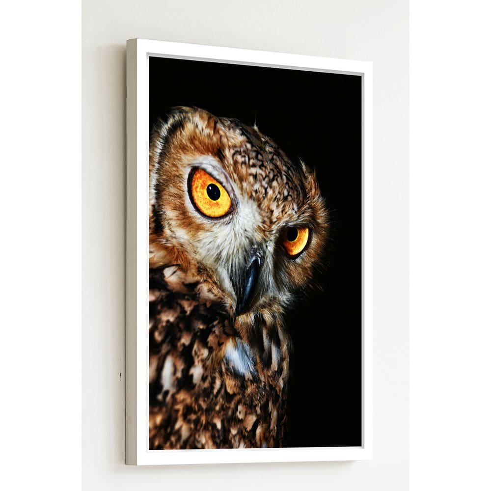 Quadro Decorativo Foto Coruja Marrom  - 70x50cm