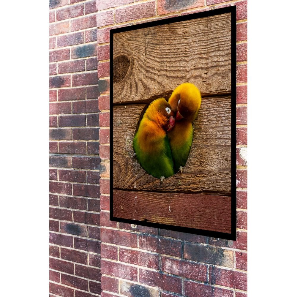 Quadro Decorativo Casal de Periquitos  - 70x50cm