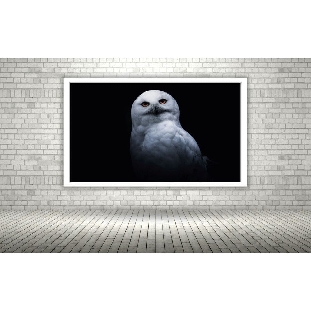 Quadro Decorativo Coruja Branca Neve  - 70x50cm