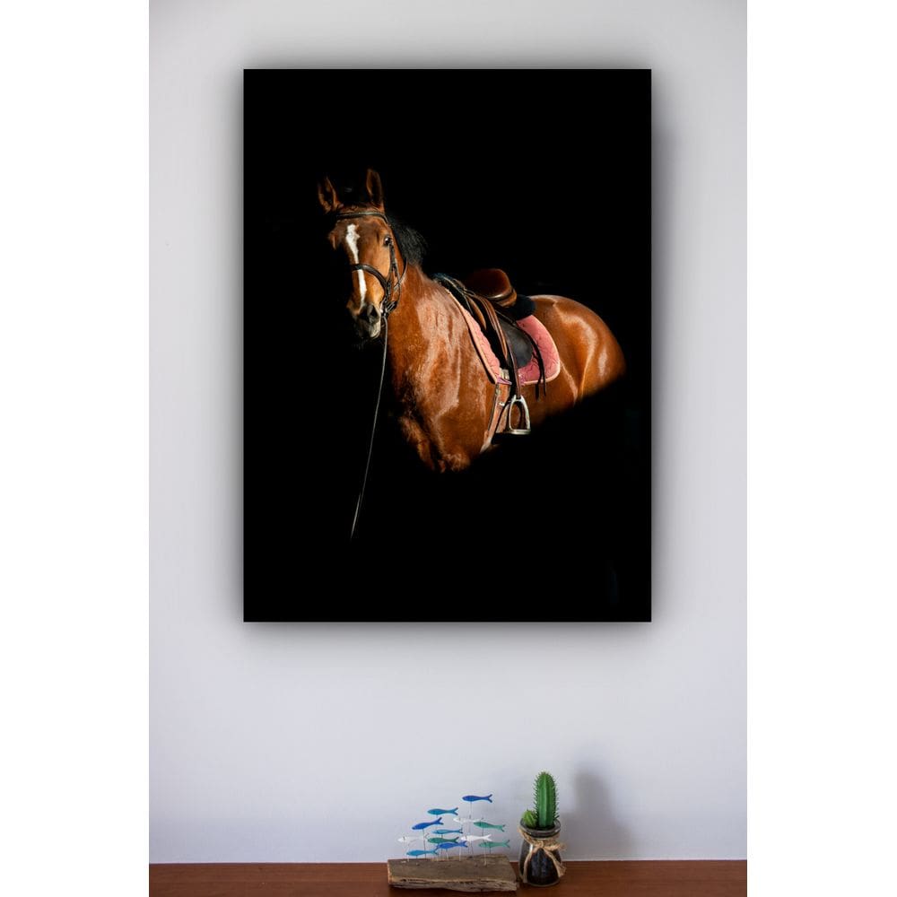 Quadro Decorativo Foto Cavalo Fundo Preto  - 70x50cm