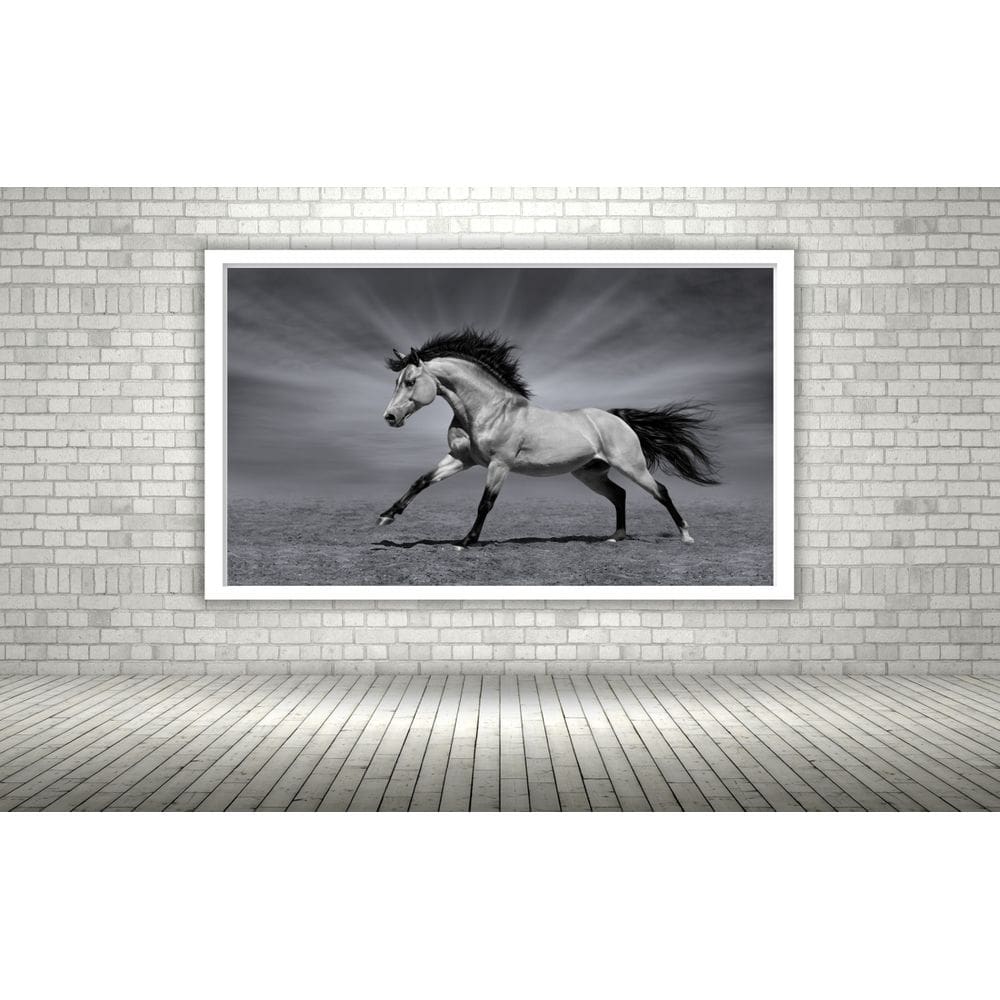 Quadro Decorativo Cavalo Luz Preto e Branco - 70x50cm