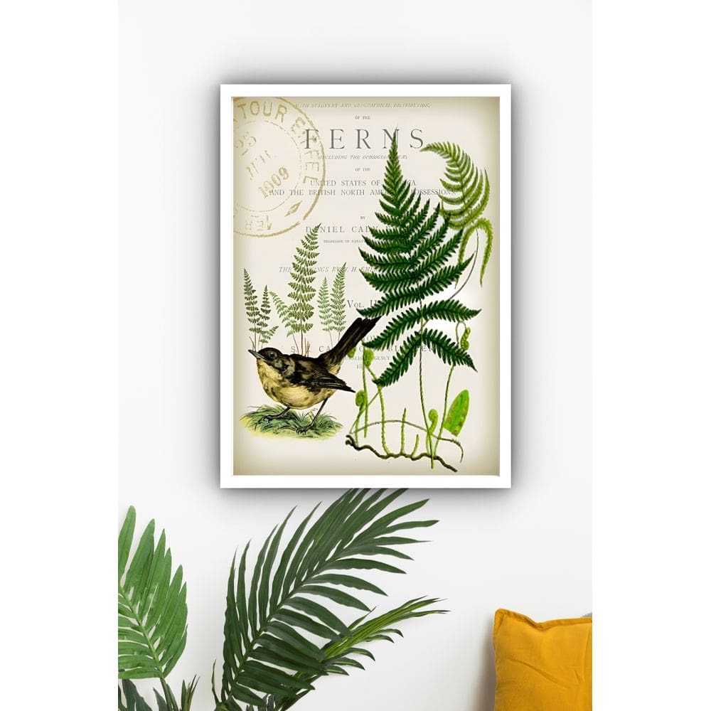 Quadro Decorativo Pássaro Samambaias Vintage  - 70x50cm