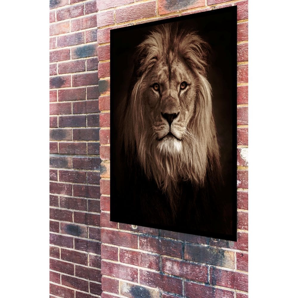 Quadro Decorativo Foto Leão Fundo Preto  - 70x50cm