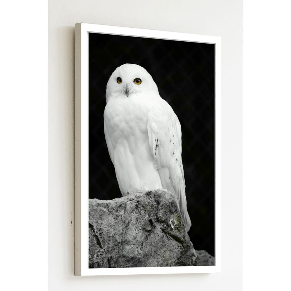 Quadro Decorativo Foto Coruja Na Pedra  - 70x50cm