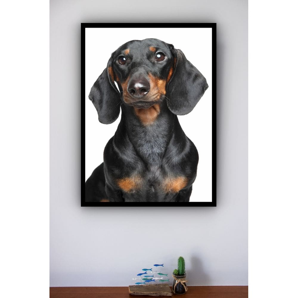 Quadro Decorativo Cachorro Black Dachshund - 70x50cm