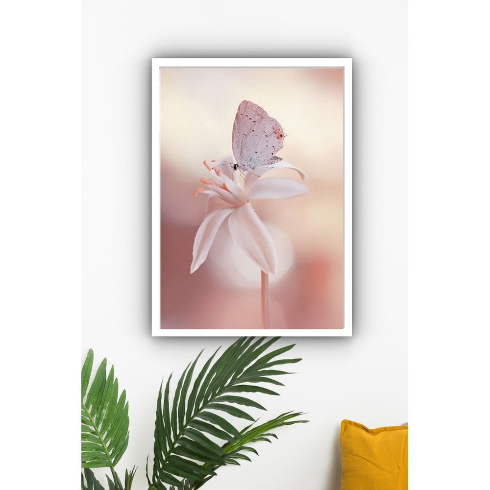 Quadro Decorativo Borboleta Flor Branca  - 70x50cm