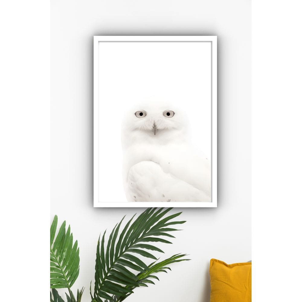 Quadro Decorativo Foto Coruja Branca  - 70x50cm