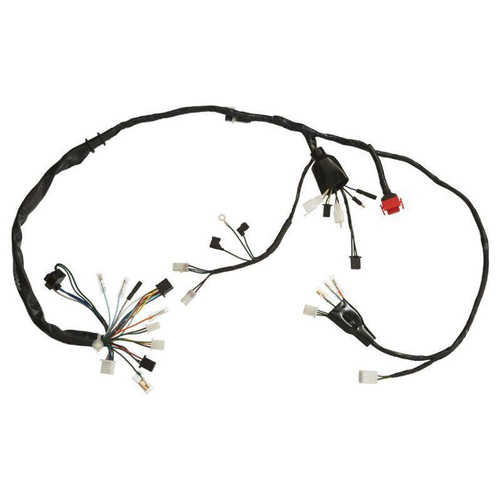 Fiação Completa Cg Titan Es 125 1999 - 2002