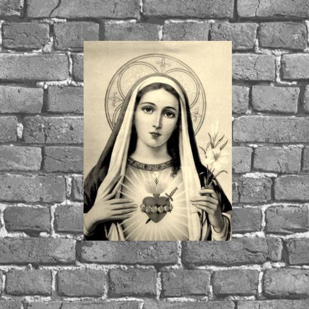 Placa Decorativa Sagrado Coração De Maria 18x27cm