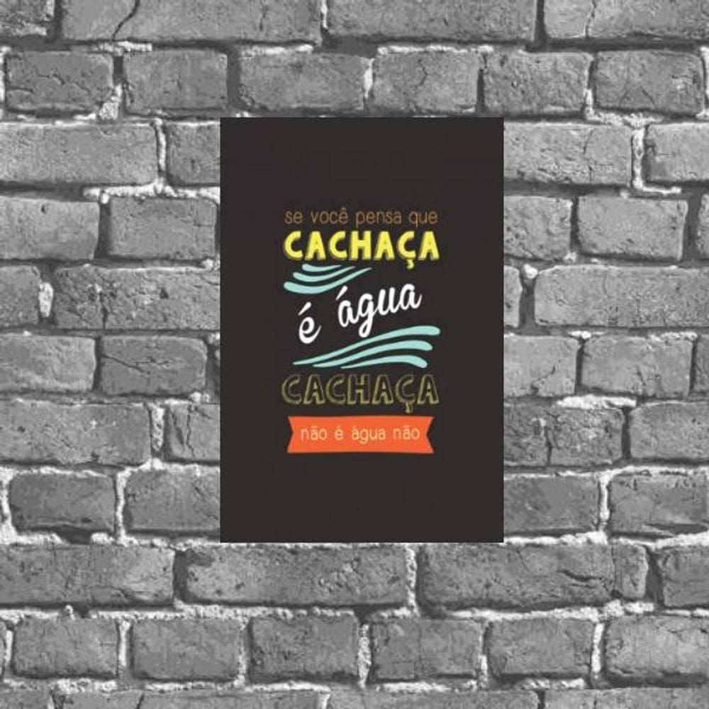 Placa Decorativa Cachaça Não É Água Não 18x27cm