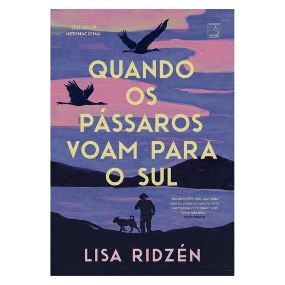 Quando Os Pássaros Voam Para O Sul