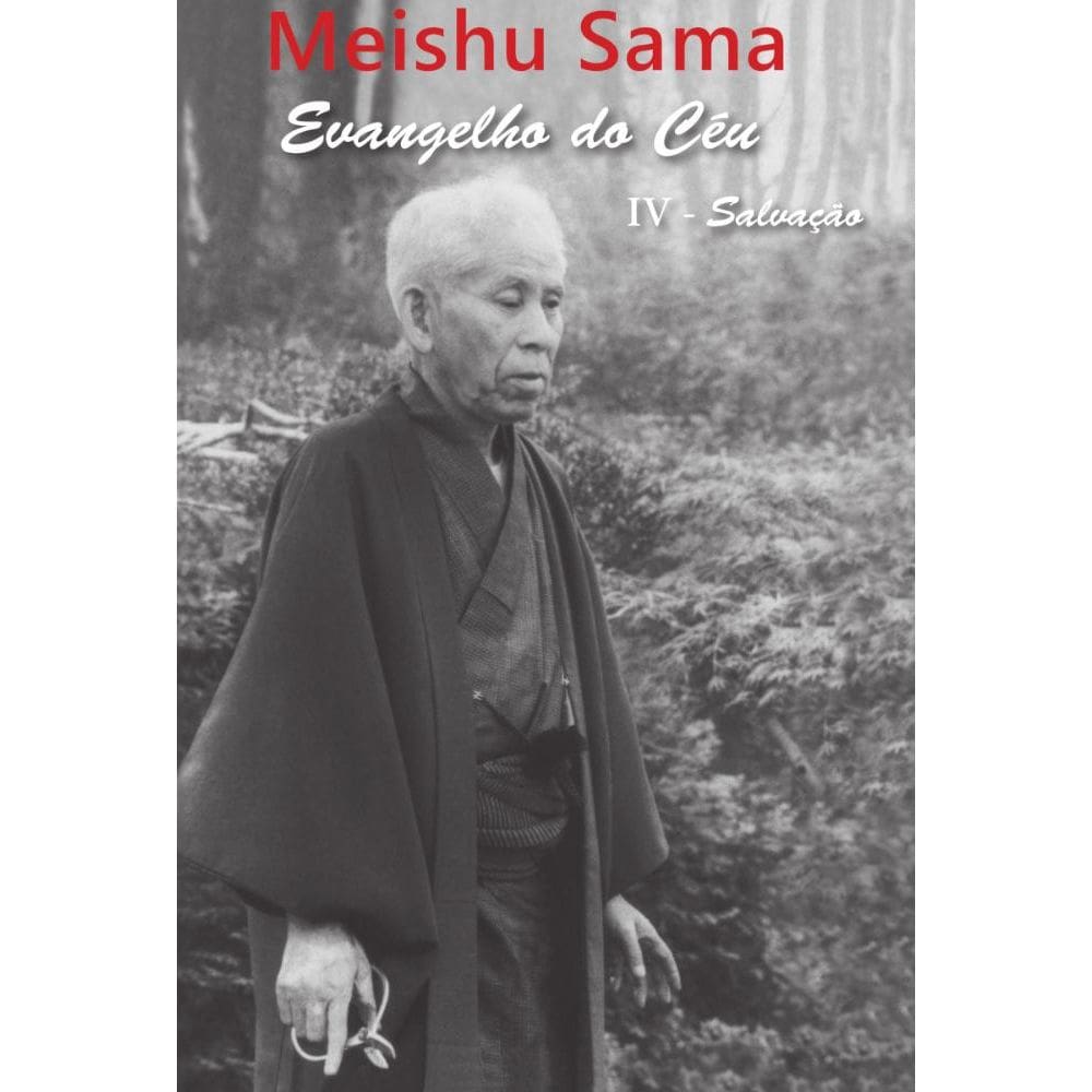 Evangelho do Céu - volume IV: Salvação