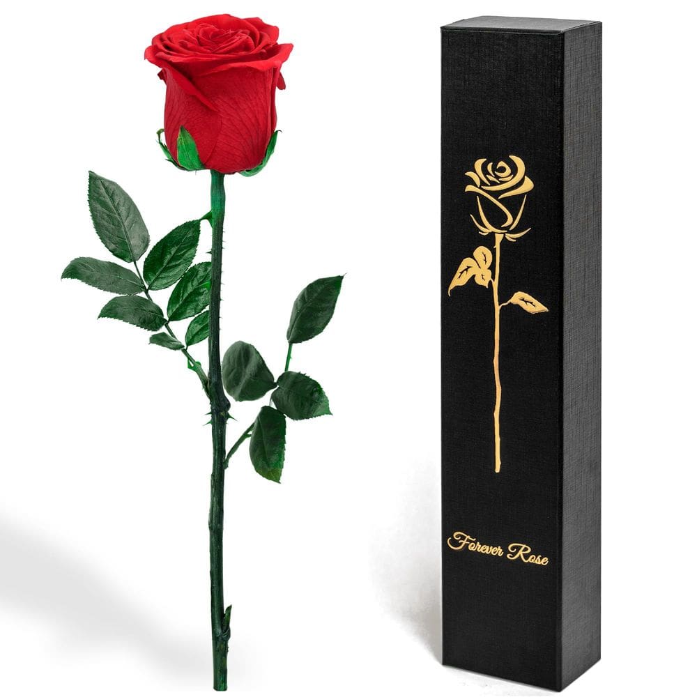 Vaso vermelho preservado em caixa YFYS Eternal Gift para mulheres