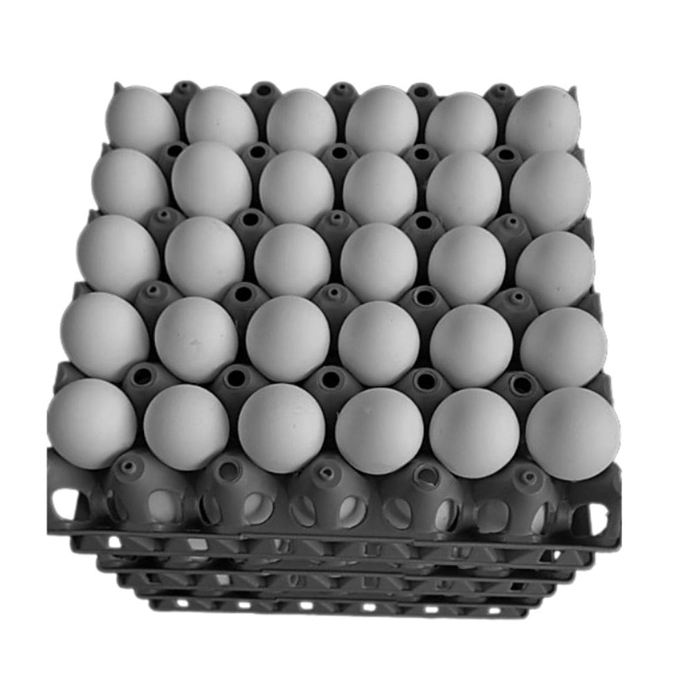 Kit 5 Porta Ovo Cartela Plástica Para 30 ovos Bandeja Higiênica