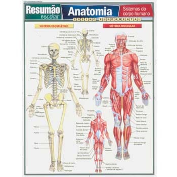 Livro - Resumão Escolar - Anatomia: Sistemas do Corpo Humano - Vicente Perez
