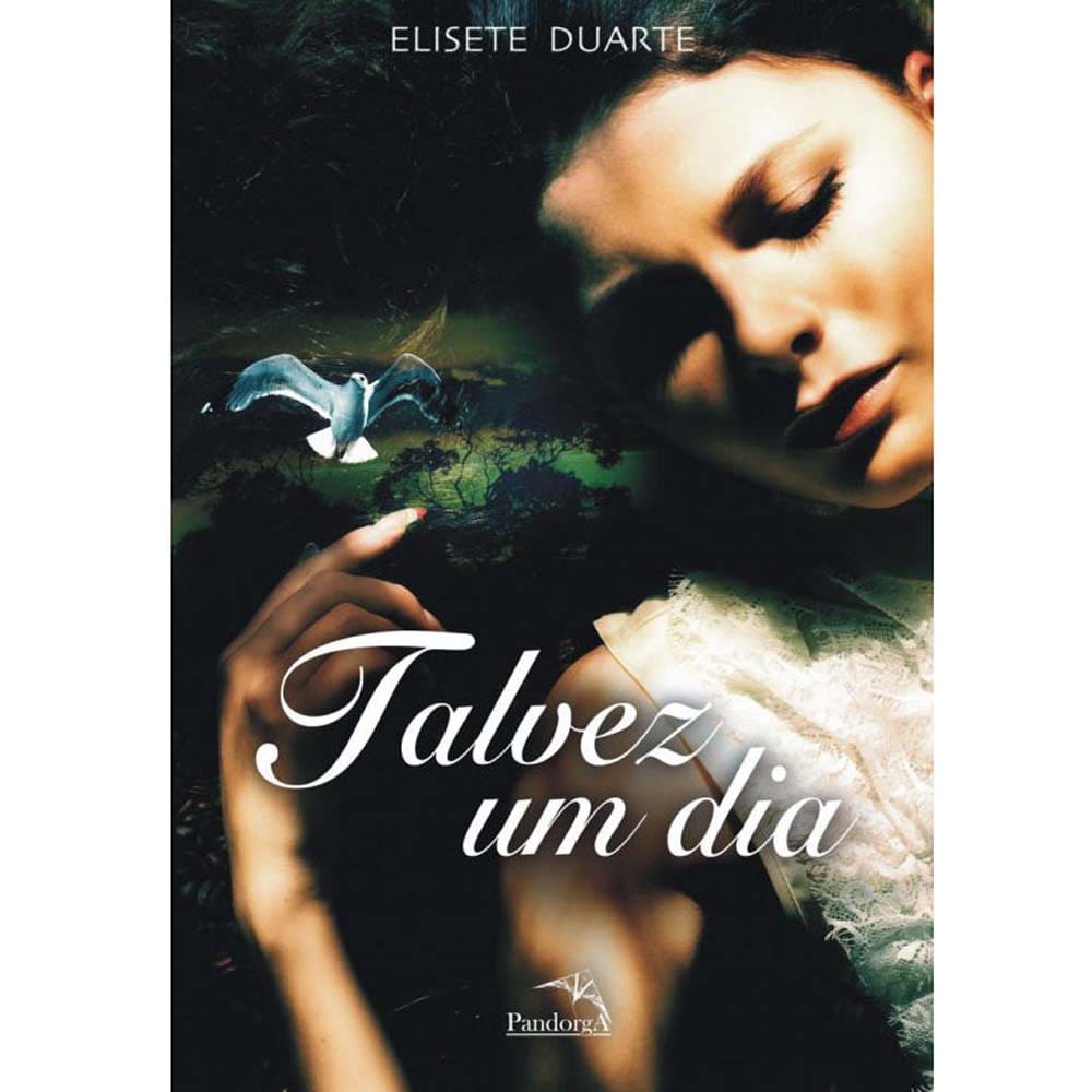 Livro - Talvez um Dia - Elisete Duarte