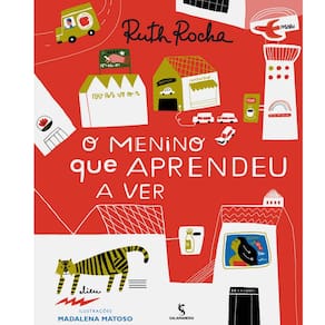 Livro - O Menino Que Aprendeu a Ver - Ruth Rocha