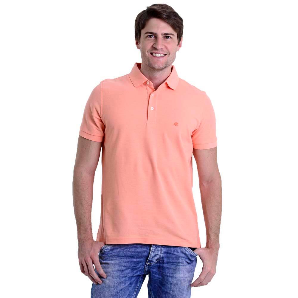 camisa polo zebra