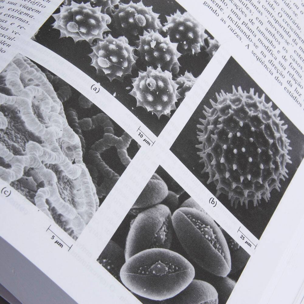 Livro - Biologia | Casas Bahia Livro - Biologia | Casas Bahia