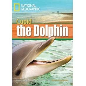 Cupid the Dolphin - Level 4 - B1 - British English