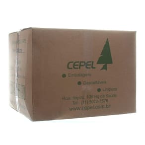 Guardanapo de Papel Folha Dupla Fiesta 33 X 33cm Caixa com 3000 Unidades Cepel
