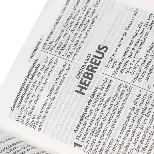 Menor preço em Livro Bíblia Sagrada RA Pequena Letra Grande C/ Borda Florida - Pink