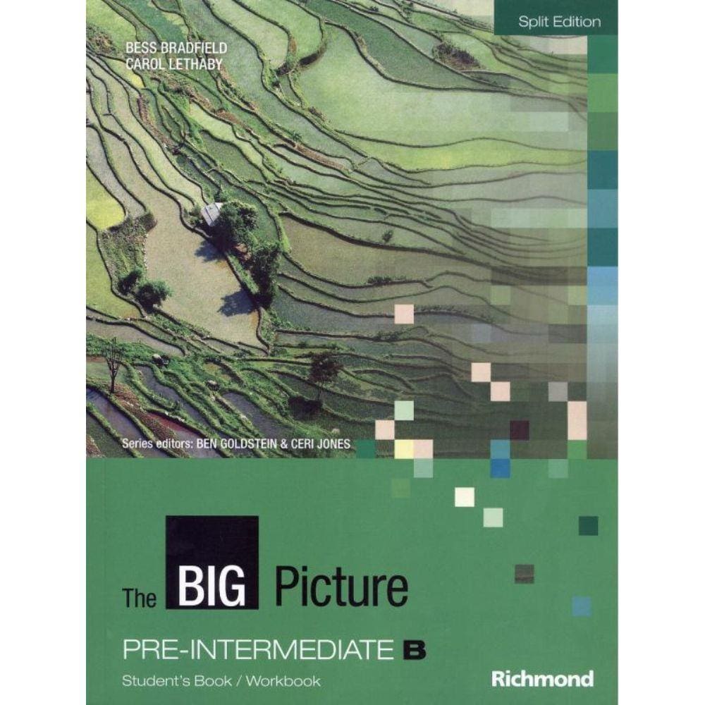 Big Picture B1 Pre-Intermediate B Sb/Wb