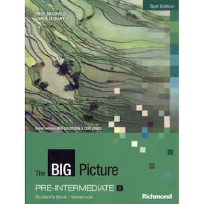 Big Picture B1 Pre-Intermediate B Sb/Wb
